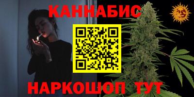 стафф Славгород